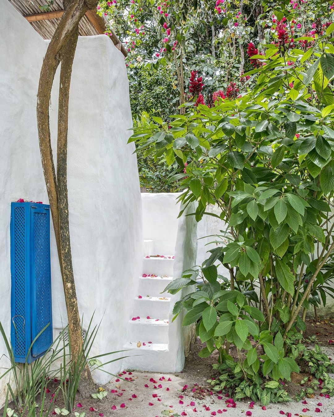 Casa Branca - João Vieira - Foto 6