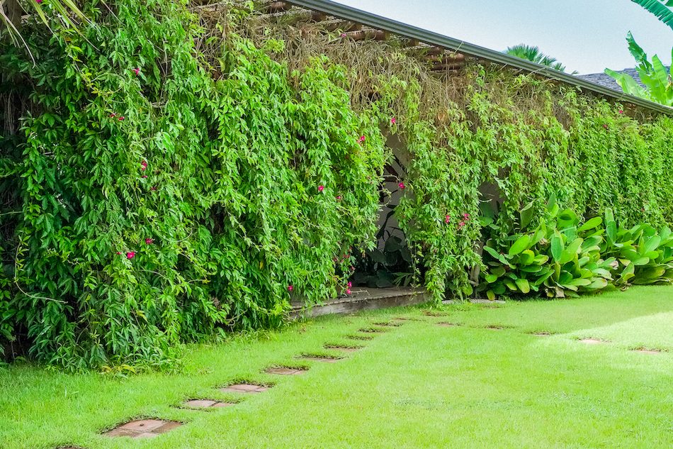 Casa Lima - Altos de Trancoso - Foto 5