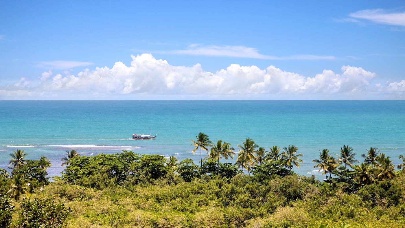Casa Novoa - Altos de Trancoso - Foto 5