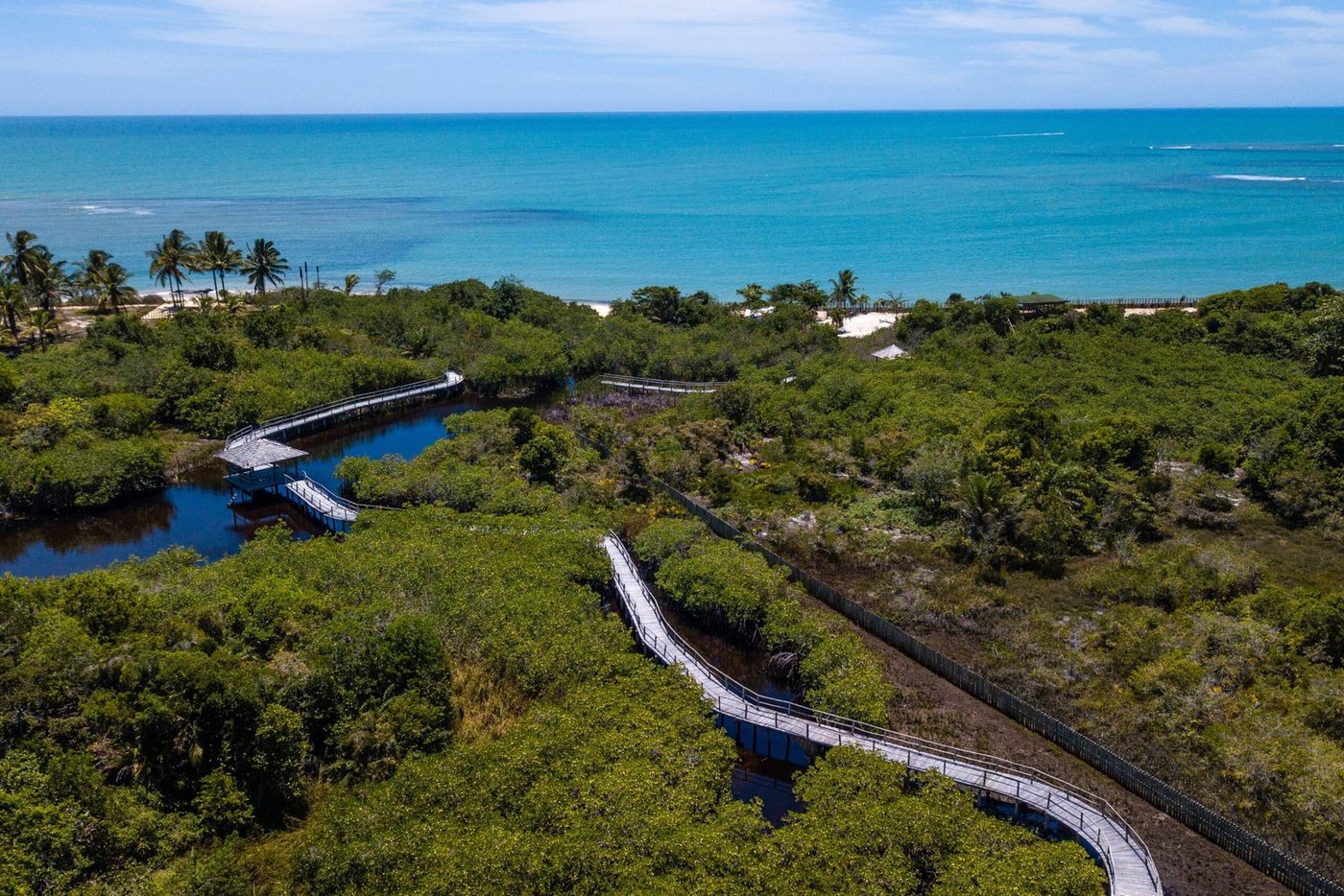 Casa Caminho do Mar - Altos de Itapororoca - Foto 4